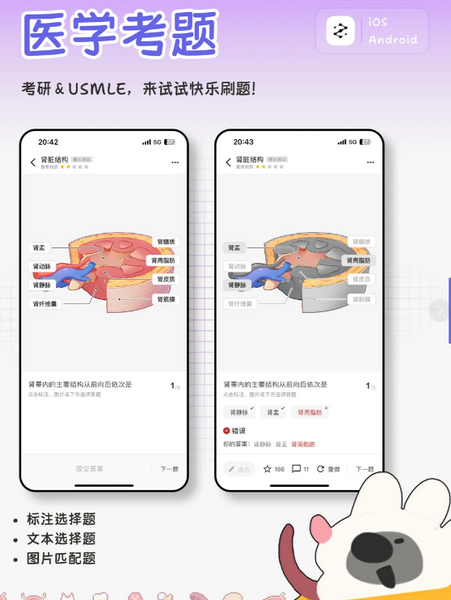 һĿ��֪���԰�