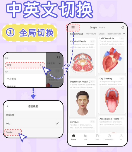 һĿ��֪���԰�