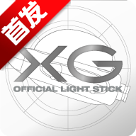 XG OFFICIAL LIGHT STICKӦԮ��