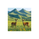 ��Ӱ��app�ٷ���v3.1.6 ���°�