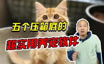 ����ƽ̨����Щ-����ƽ̨app�Ƽ�