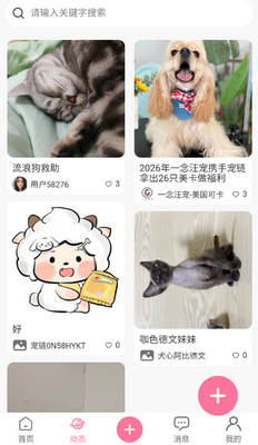 宠链宠物app截图2