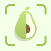 �ȿ���������