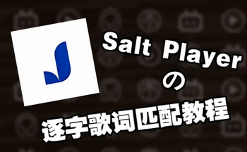 ���ָ��ƥ������