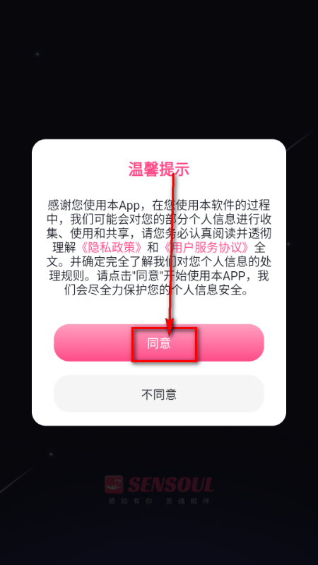 Sensoul AI����