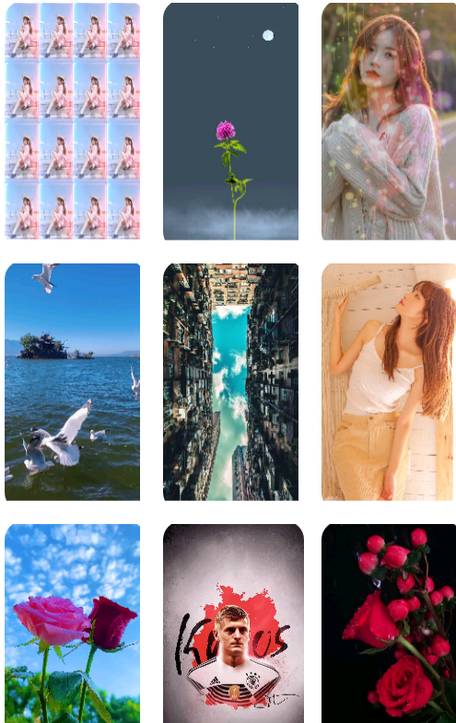 ��̬��ѱ�ֽ�ֻ���