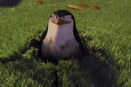 ����TV����ֱ����װ��