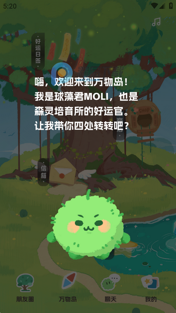 ����LIMO����