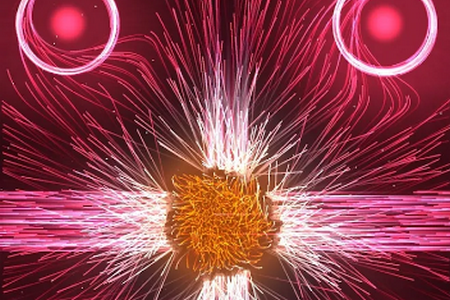 ��������steam��ֲ��