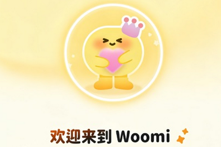 Woomi AI����