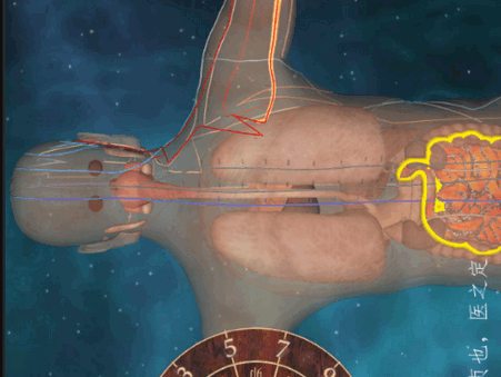 ����Сͭ��app��Ѱ�