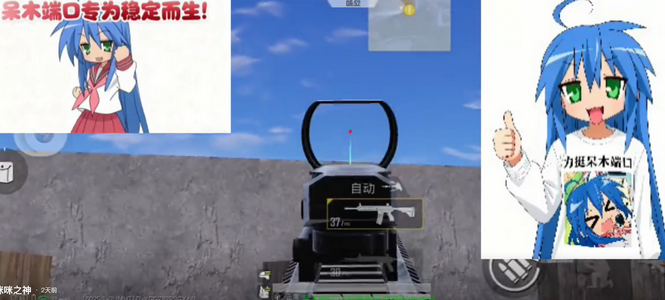 ��ľ˽��PRO��