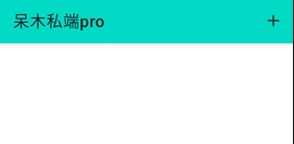 ��ľ˽��PRO��