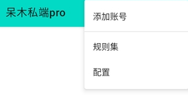 ��ľ˽��PRO��