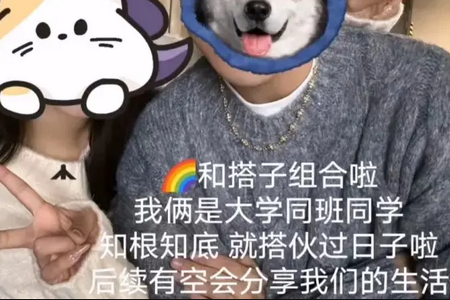 ��������app���°�2026��