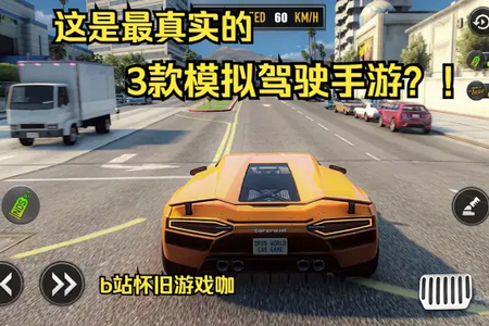 ��ʵ��ʻѧУ(ģ���ʻ����)