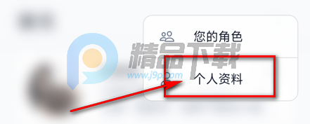 idolchat AI ����