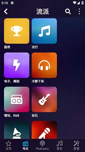 Audials Play Pro(���ֲ�������)