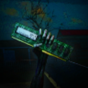 ������װج�������