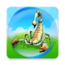 ����������Ҷ�����