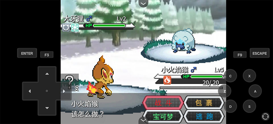 ������Z������(������Z����)