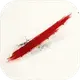 ̫���Ծ�����V1.0.0 ��׿��