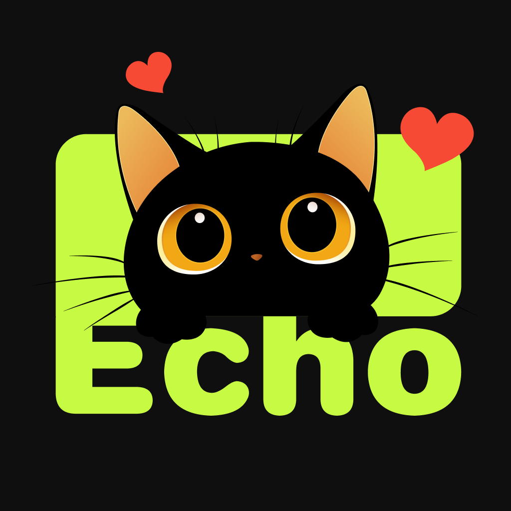 Echo AI����v1.0.6 �ٷ���