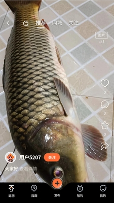 С�������������ͼ1
