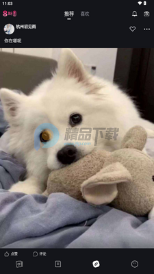 斯圈交友截图3