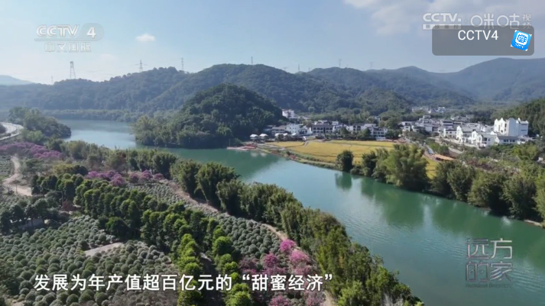 ����TV���Ӱ��ͼ0