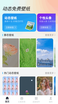 动态免费壁纸手机版截图2