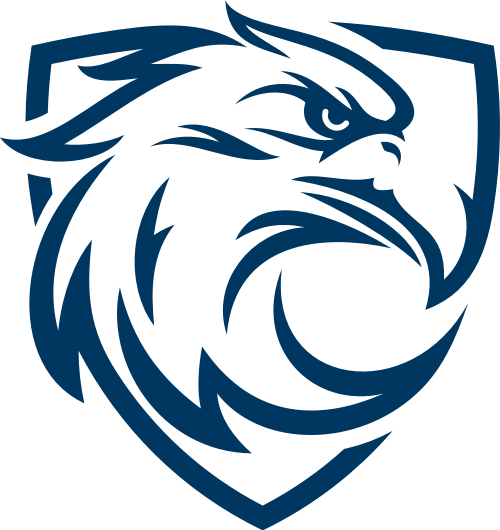 ��ӥ�ӽ��޹���