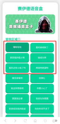 赛伊德语音盒子app截图3