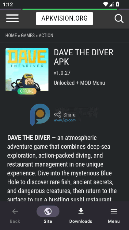 APKVision Store�������°�����