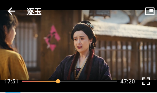 ������Ƶ׷��