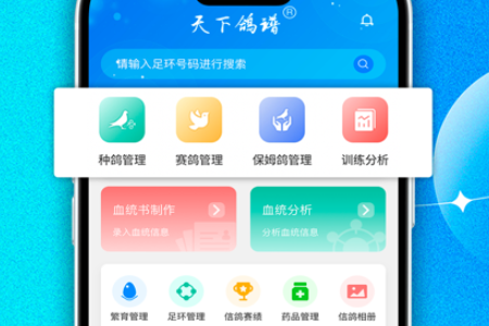 ���¸������°�app