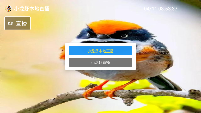 С��Ϻֱ��TV���Ӱ�