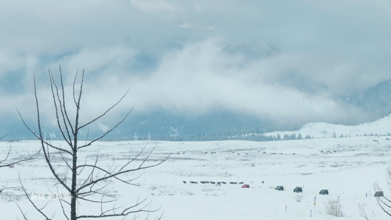 锋云秒播香吻版 锋云秒播香吻版