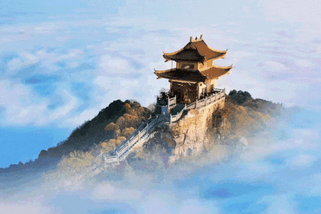 ��ɽ���¹ٷ�����app