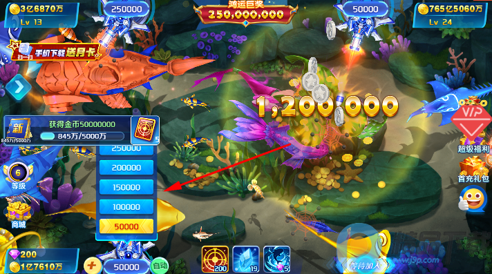 �����沶��