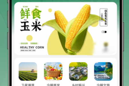 �񳯺���app���°�