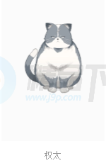 GINKA�����ֻ�����ֱװ��