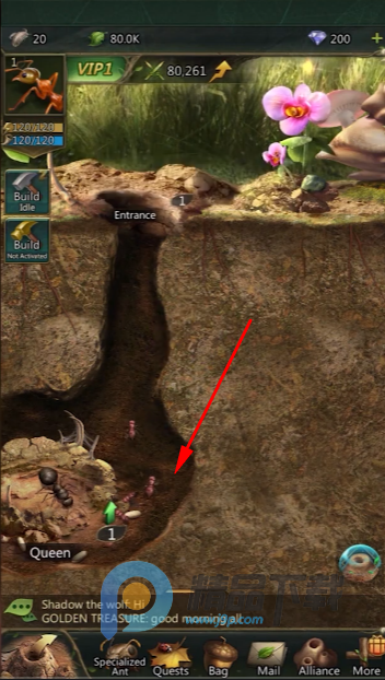 ���Ͼ��Ź��ʷ�(Ant Legion)