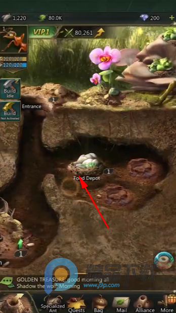 ���Ͼ��Ź��ʷ�(Ant Legion)