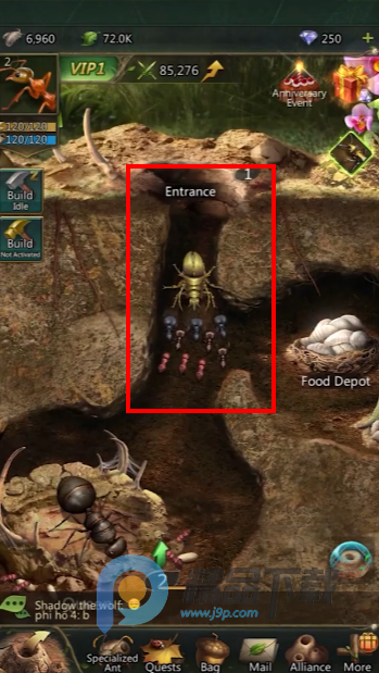 ���Ͼ��Ź��ʷ�(Ant Legion)