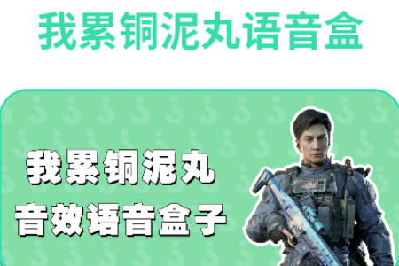 ����ͭ������������(Ȥζ������)