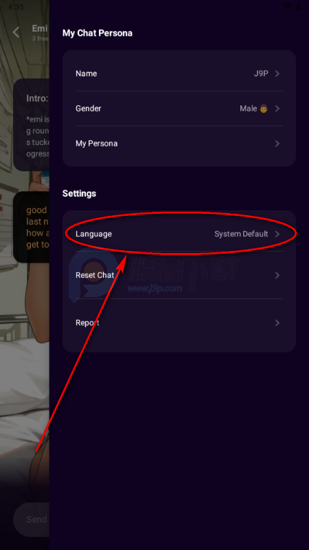 NovaGirl AI����