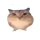 �ͰͲ�һ�������°�V1.0 ��׿��