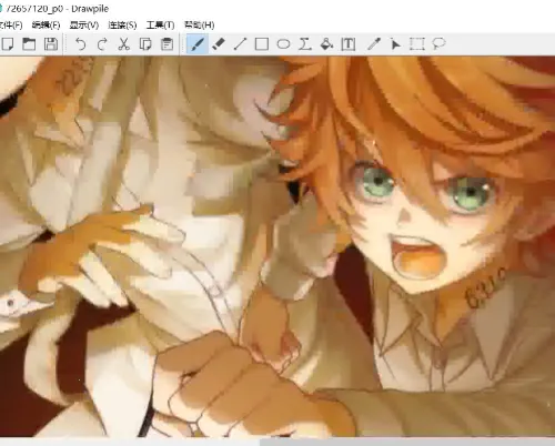 Drawpile(Эͬ�滭����)