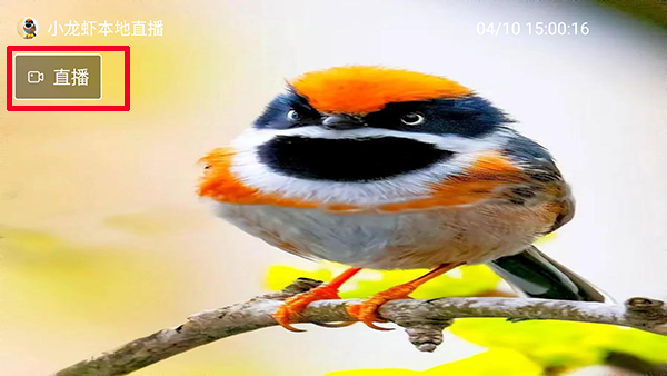 С��Ϻֱ��TV��Apk�������°�-С��Ϻֱ�����Ӻ��Ӱ�������Ѱ�v1.3.3